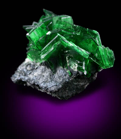 Torbernite from Shinkolobwe Mine, 22 km WSW of Likasi, Katanga Copperbelt, Haut-Katanga Province, Democratic Republic of the Congo