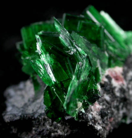 Torbernite from Shinkolobwe Mine, 22 km WSW of Likasi, Katanga Copperbelt, Haut-Katanga Province, Democratic Republic of the Congo