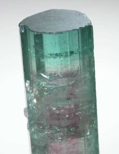 Elbaite var. Watermelon Tourmaline with Lepidolite from Santa Rosa Mine, Itambacuri, Minas Gerais, Brazil