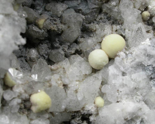 Dresserite on Quartz from Francon Quarry, Montral, le de Montral, Qubec, Canada (Type Locality for Dresserite)