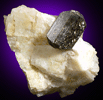 Fluoro-richterite (Fluororichterite) in Calcite from Tory Hill, Ontario, Canada