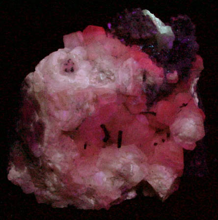 Pyrite (filiform crystals) on Calcite from railroad cut near Thomaston Dam, Litchfield County, Connecticut