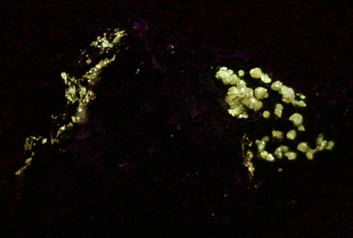 Powellite and Brochantite from Chuquicamata Mine, 15 km north of Calama, Antofagasta, Chile