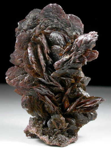 Descloizite from Berg Aukas Mine, 16 km ENE of Grootfontein, Otavi Mountain Land, Namibia