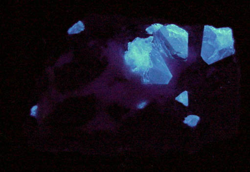 Benitoite in Natrolite with Natrolite from Benitoite Gem Mine, San Benito County, California (Type Locality for Benitoite)