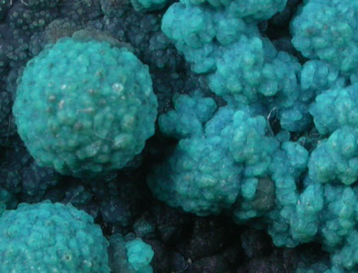 Chrysocolla over Azurite and Malachite on Tenorite from Morenci Mine, Clifton District, Greenlee County, Arizona