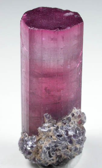 Elbaite var. Rubellite Tourmaline with Lepidolite from Minas Gerais, Brazil