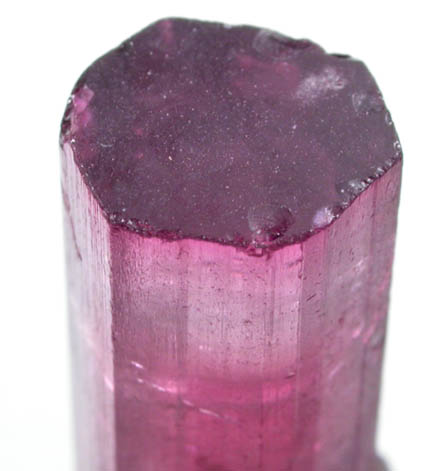 Elbaite var. Rubellite Tourmaline with Lepidolite from Minas Gerais, Brazil