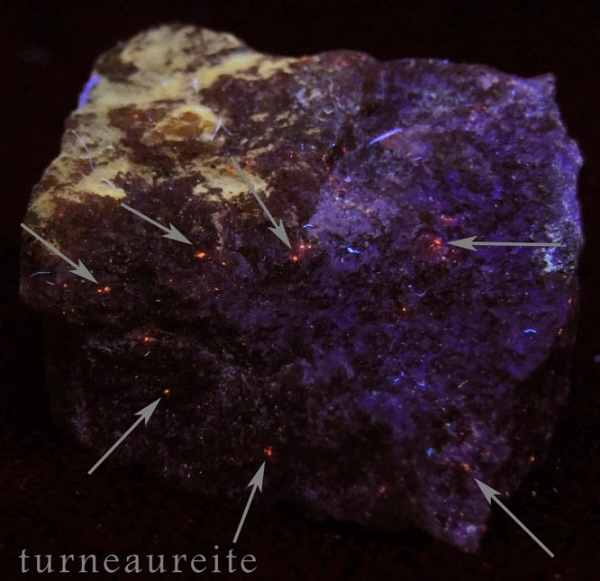 Donpeacorite and Turneaureite from ZCA Mine No. 4, Fowler Ore Body, Balmat, St. Lawrence County, New York (Type Locality for Donpeacorite and Turneaureite)