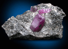 Corundum var. Ruby from Mysuru (formerly Mysore), Karnataka, India