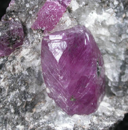 Corundum var. Ruby from Mysuru (formerly Mysore), Karnataka, India