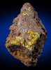 Soddyite from Swambo Hill, Katanga Copperbelt, Haut-Katanga Province, Democratic Republic of the Congo