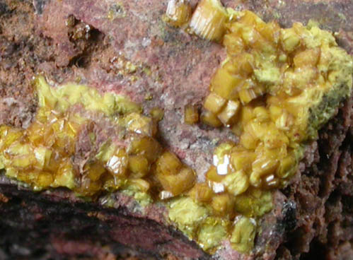 Soddyite from Swambo Hill, Katanga Copperbelt, Haut-Katanga Province, Democratic Republic of the Congo