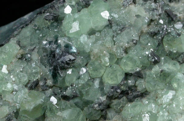 Andradite var. Demantoid Garnet with Clinochlore from Chukotskii (Chukotka), Magadan Oblast, Russia