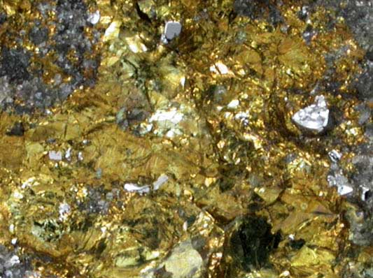 Sperrylite and Chalcopyrite from Vermillion Mine, Denison Township, Sudbury District, Ontario, Canada (Type Locality for Sperrylite)