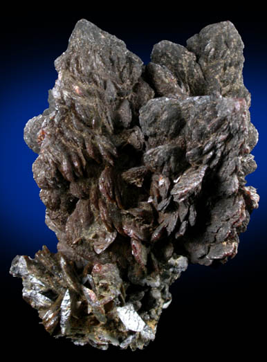 Descloizite from Berg Aukas Mine, 16 km ENE of Grootfontein, Otavi Mountain Land, Namibia