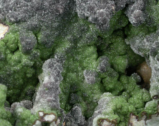 Duftite and Calcite-Smithsonite from Tsumeb Mine, Otavi-Bergland District, Oshikoto, Namibia (Type Locality for Duftite)