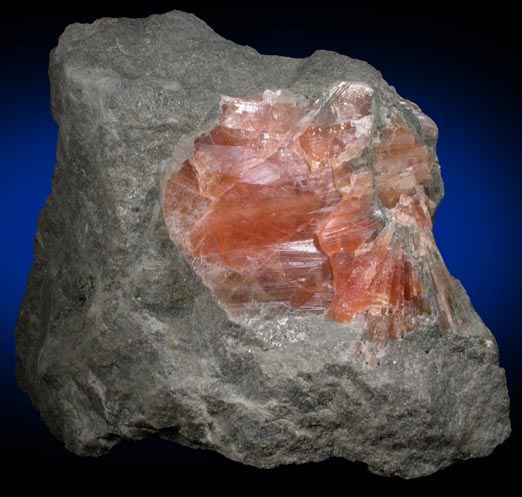 Celestine from Forks-of-the-Credit, Belfountain, Ontario, Canada