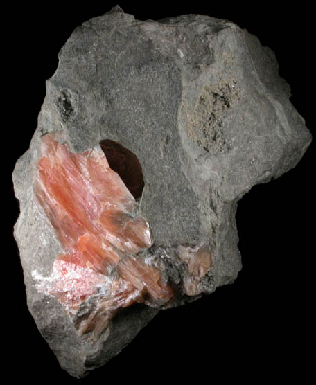 Celestine from Forks-of-the-Credit, Belfountain, Ontario, Canada