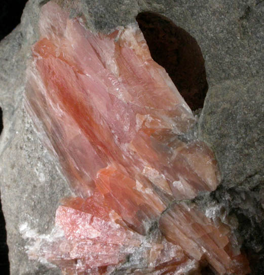Celestine from Forks-of-the-Credit, Belfountain, Ontario, Canada