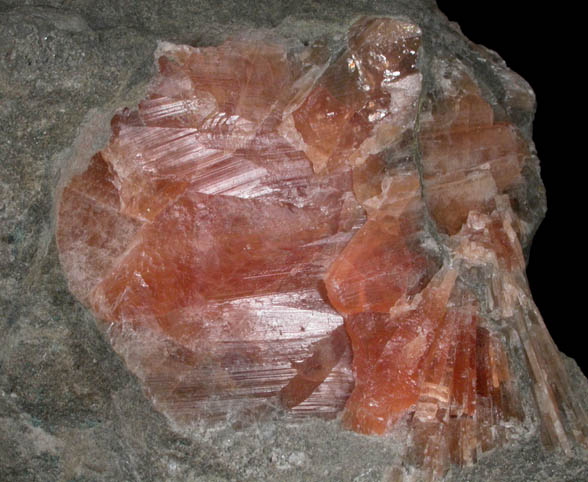 Celestine from Forks-of-the-Credit, Belfountain, Ontario, Canada