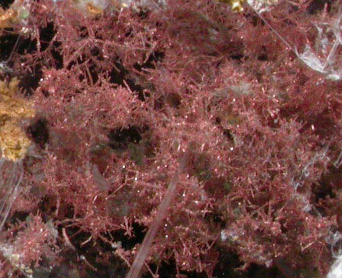 Copper in Gypsum var. Selenite from Twin Buttes Mine, Pima County, Arizona