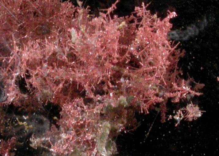 Copper in Gypsum var. Selenite from Twin Buttes Mine, Pima County, Arizona