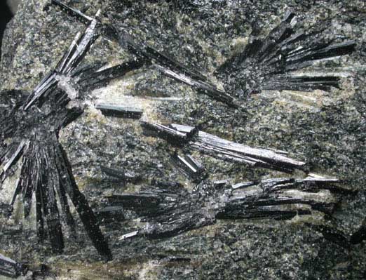 Dravite-Schorl Tourmaline fans from Mount Grace, Warwick, Franklin County, Massachusetts