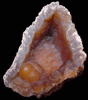 Quartz var. Agate pseudomorphs after Coral (Tampa Bay Coral) from Northern Pinellas County, Florida