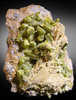 Pyromorphite from Coeur d'Alene District, Burke, Idaho