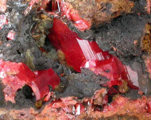 Crocoite from Adelaide Mine, Dundas, Tasmania, Australia