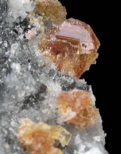 Hydrotalcite-2H var. Manasseite with Magnetite from Jacupiranga Mine, Cajati, So Paulo, Brazil
