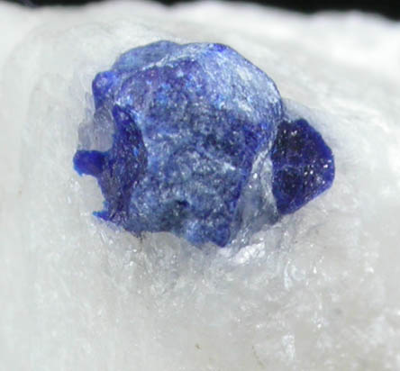 Lazurite var. Lapis Lazuli from Sar-e-sang, Kokscha Valley, Badakshan, Afghanistan (Type Locality for Lazurite)