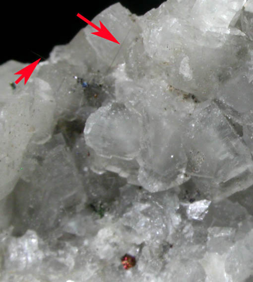 Millerite on Dolomite from Winterslag Mine, Genk, Limburg Province, Belgium