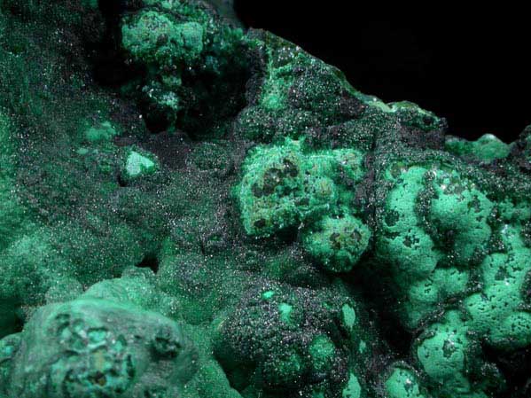 Malachite from Kolwezi Mining District, 240 km WNW of  Lubumbashi, Katanga Copperbelt, Lualaba Province, Democratic Republic of the Congo