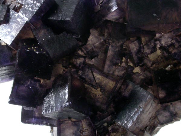Fluorite with Calcite, Barite, Chalcopyrite, Pyrite from Annabel Lee Mine, Harris Creek District, Hardin County, Illinois