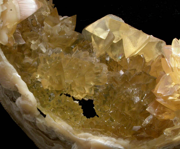 Calcite lining fossilized clam shell from Ruck's Pit Quarry, Fort Drum, Okeechobee County, Florida