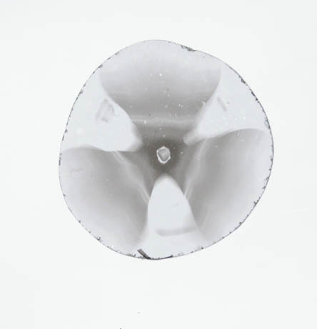 Diamond (0.20 carat polished slice with sector-zoned inclusions) from Zimbabwe