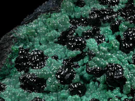 Heterogenite on Chrysocolla from L'Etoile du Congo Mine, Lubumbashi, Katanga Copperbelt, Haut-Katanga Province, Democratic Republic of the Congo