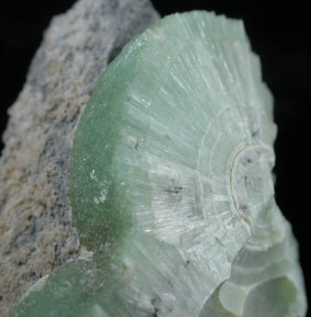 Wavellite from Mauldin Mountain, Montgomery County, Arkansas