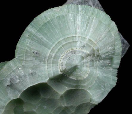 Wavellite from Mauldin Mountain, Montgomery County, Arkansas