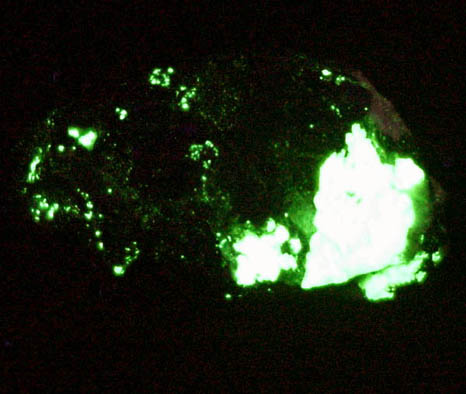 Hodgkinsonite, Franklinite, Willemite, Andradite and Zincite from Franklin, Sussex County, New Jersey (Type Locality for Hodgkinsonite, Franklinite and Zincite)