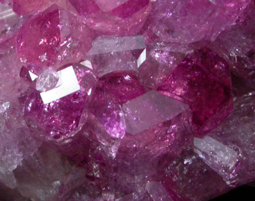 Vesuvianite (purple) from Jeffrey Mine, Asbestos, Qubec, Canada