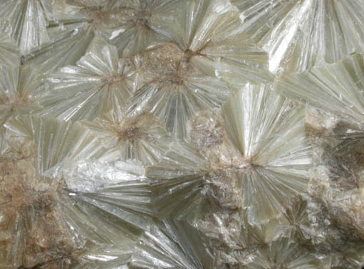 Pyrophyllite from Tres Cerritos, Mariposa County, California