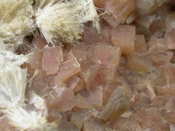 Chabazite with Natrolite and Stilbite from Kibblehouse Quarry, Perkiomenville, Montgomery County, Pennsylvania