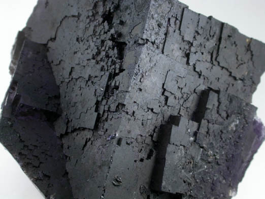 Fluorite with Bitumen coating from Annabel Lee Mine, Harris Creek District, Hardin County, Illinois