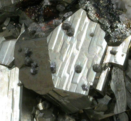 Pyrite with Calcite from Concepción del Oro, Zacatecas, Mexico