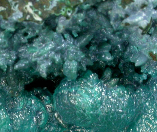 Chrysocolla pseudomorphs after Hemimorphite from 79 Mine, Banner District, near Hayden, Gila County, Arizona