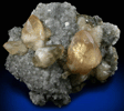Calcite on Dolomite with Pyrite from Nanisivik Mine, Baffin Island, Nunavut, Canada