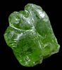 Forsterite var. Peridot (gem-grade crystal) from Suppat, Naran-Kagan Valley, Kohistan District, Khyber Pakhtunkhwa (North-West Frontier Province), Pakistan